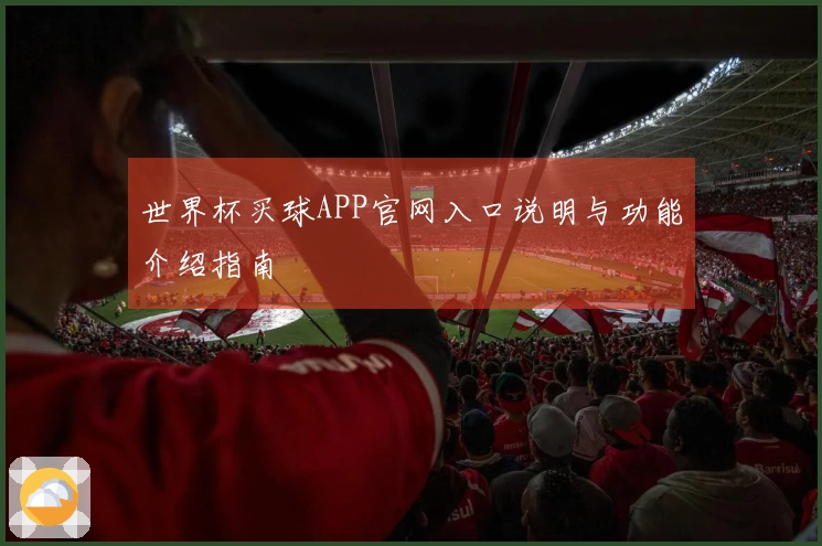 世界杯买球APP官网入口说明与功能介绍指南