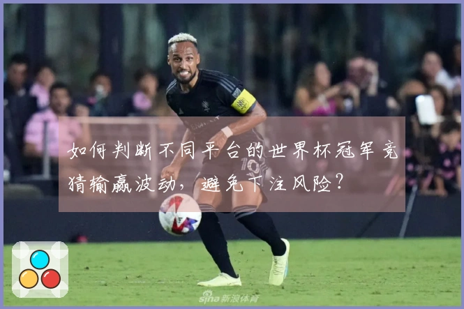 如何判断不同平台的世界杯冠军竞猜输赢波动，避免下注风险？