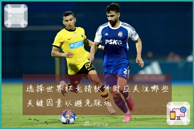 选择世界杯竞猜软件时应关注哪些关键因素以避免踩坑