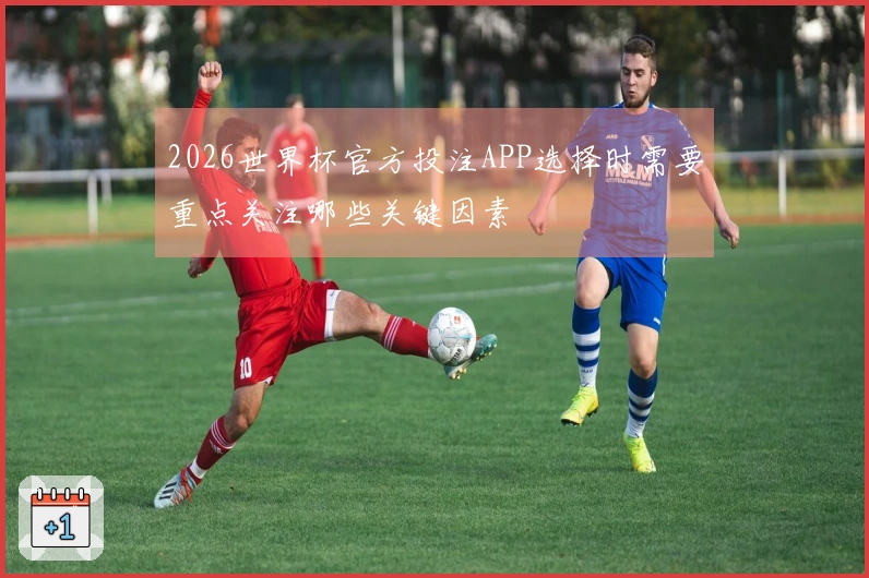2026世界杯官方投注APP选择时需要重点关注哪些关键因素