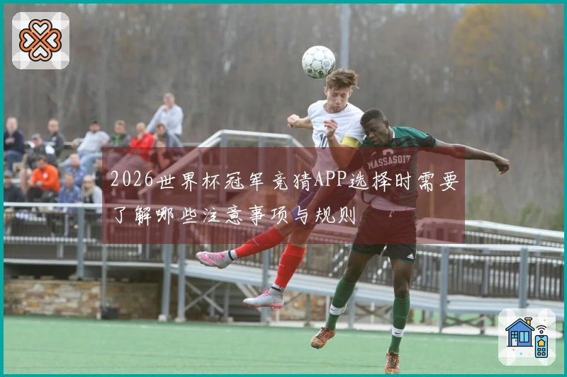 2026世界杯冠军竞猜APP选择时需要了解哪些注意事项与规则