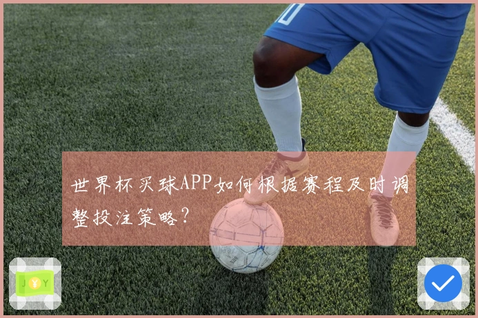 世界杯买球APP如何根据赛程及时调整投注策略？