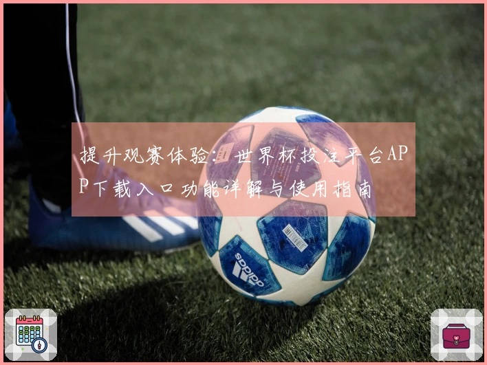 提升观赛体验：世界杯投注平台APP下载入口功能详解与使用指南