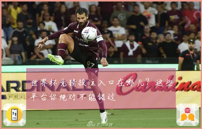世界杯竞猜投注入口在哪儿？这些平台你绝对不能错过