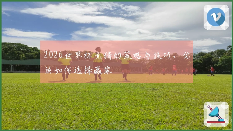 2026世界杯竞猜的策略与技巧，你该如何选择赢家