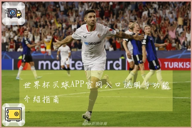 世界杯买球APP官网入口说明与功能介绍指南
