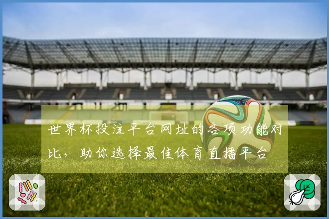 世界杯投注平台网址的各项功能对比，助你选择最佳体育直播平台