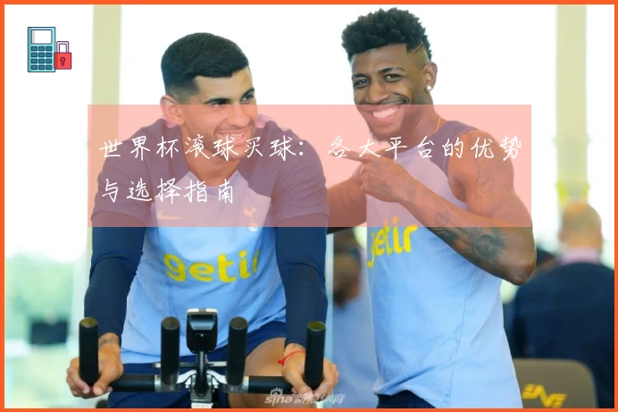 世界杯滚球买球：各大平台的优势与选择指南