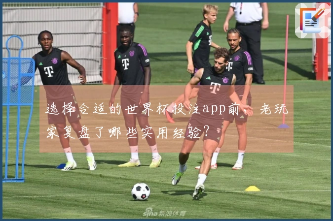 选择合适的世界杯投注app前，老玩家复盘了哪些实用经验？