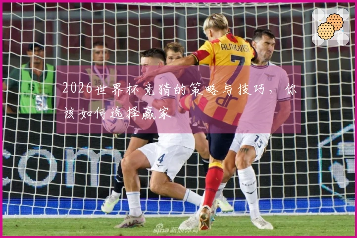 2026世界杯竞猜的策略与技巧,你该如何选择赢家