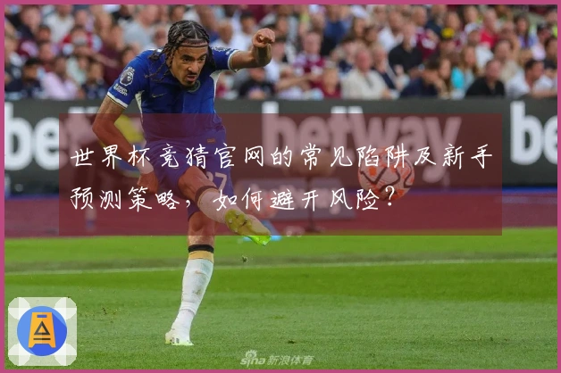 世界杯竞猜官网的常见陷阱及新手预测策略，如何避开风险？