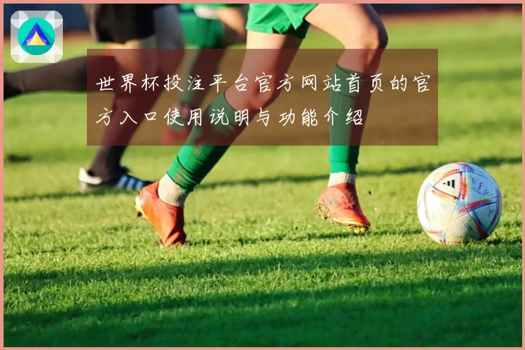 世界杯投注平台官方网站首页的官方入口使用说明与功能介绍