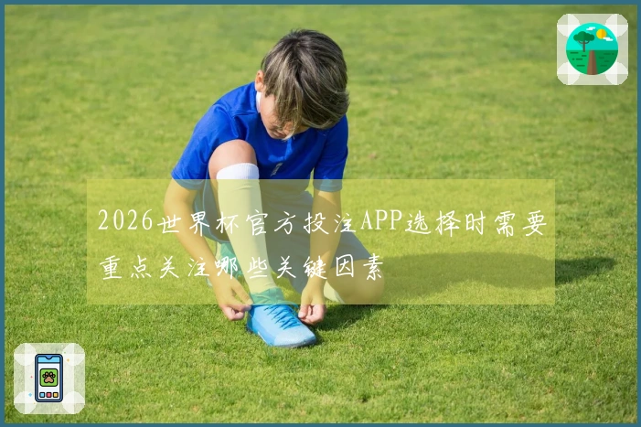 2026世界杯官方投注APP选择时需要重点关注哪些关键因素