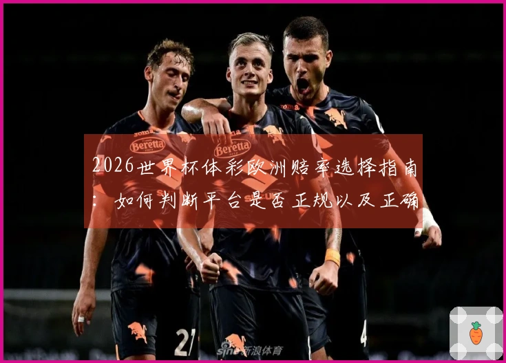 2026世界杯体彩欧洲赔率选择指南：如何判断平台是否正规以及正确操作流程