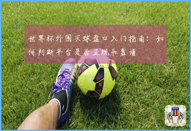 世界杯外围买球盘口入门指南：如何判断平台是否正规和靠谱