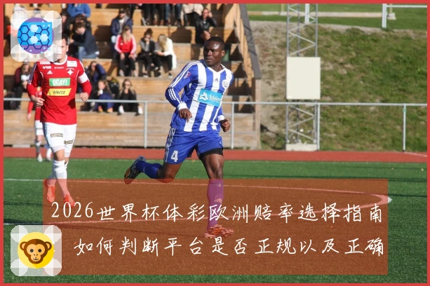 2026世界杯体彩欧洲赔率选择指南：如何判断平台是否正规以及正确操作流程