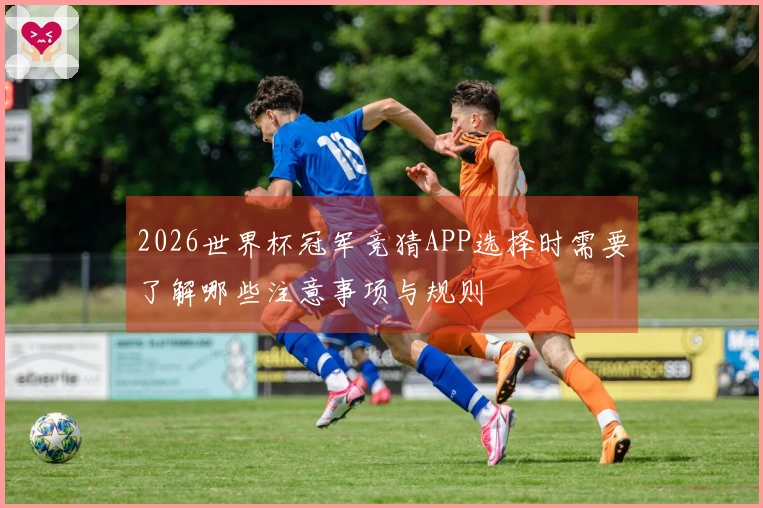 2026世界杯冠军竞猜APP选择时需要了解哪些注意事项与规则